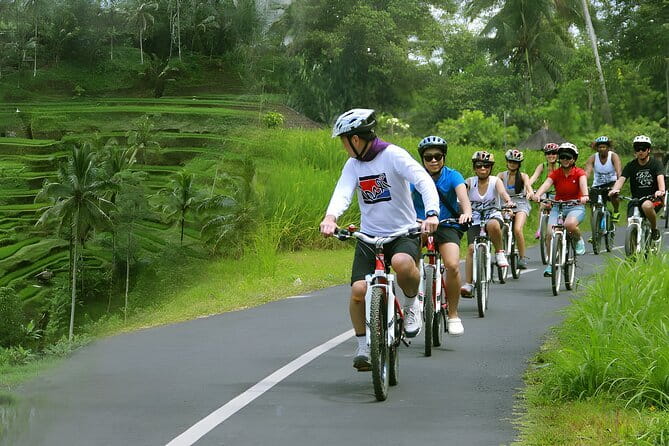 Bali Countryside Eco Cycling Tour include Lunch - Batu Sepih cooking demonstration and lunch