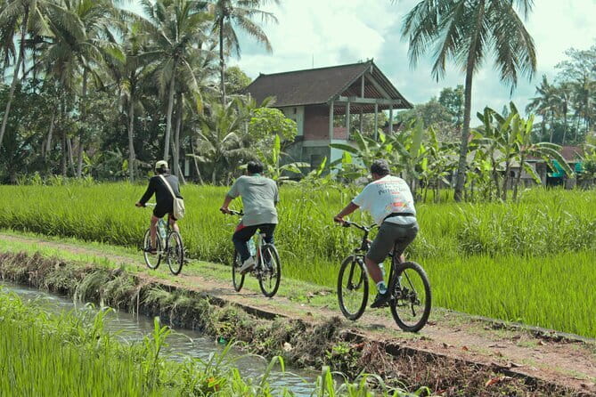 Bali Countryside Eco Cycling Tour include Lunch - Kemenuh’s mostly downhill bike route
