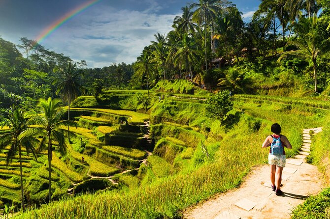 Bali Cultural Experience - Tegalalang Rice Terrace: one hour among Bali’s famous fields