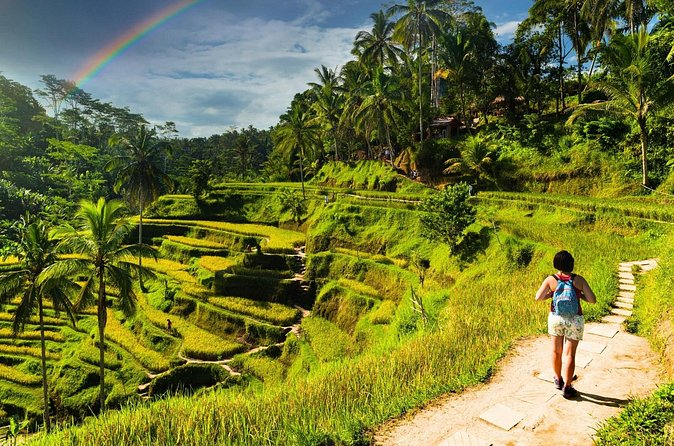 Bali Cultural Experience - Ubud Street Market: an hour to browse at your own pace