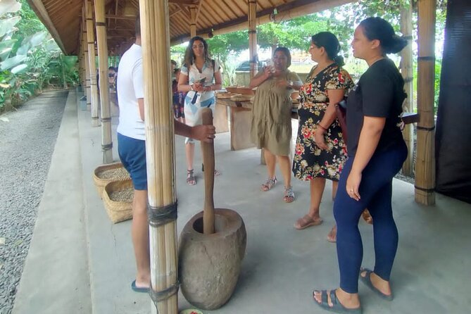 Bali Culture And Spring Temple Private Guided Tour - Tegenungan Waterfall Finishes The Route
