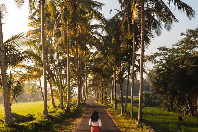 Bali Customized Tour Private Car and Driver - Taman Ayun and Tanah Lot in western Bali