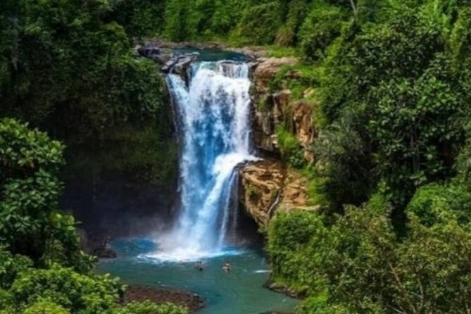 Bali Day Trip to Ubud Highlight Tour and Tanah Lot Temple - The pace, vehicle, and private format