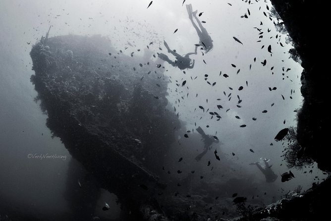 Bali Diving Day Trip-Manta Point/Tulamben Shipwreck-Fun Dive - What the 9-hour day looks like