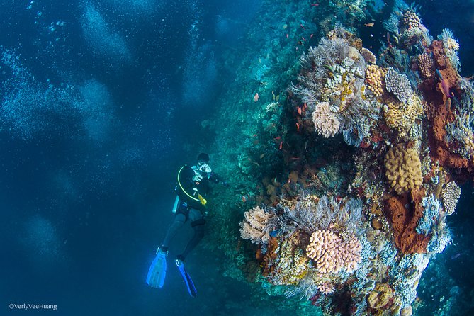 Bali Diving Day Trip-Manta Point/Tulamben Shipwreck-Fun Dive - Learning the basics without feeling rushed