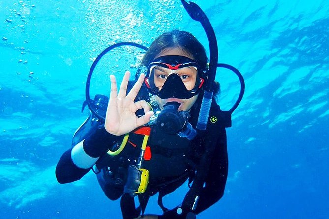 Bali Diving for Beginners: Tulamben Liberty Wreck - Why the USS Liberty works for a first scuba outing