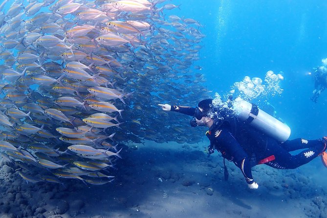 Bali Diving for Beginners: Tulamben Liberty Wreck - A short break keeps the second session comfortable