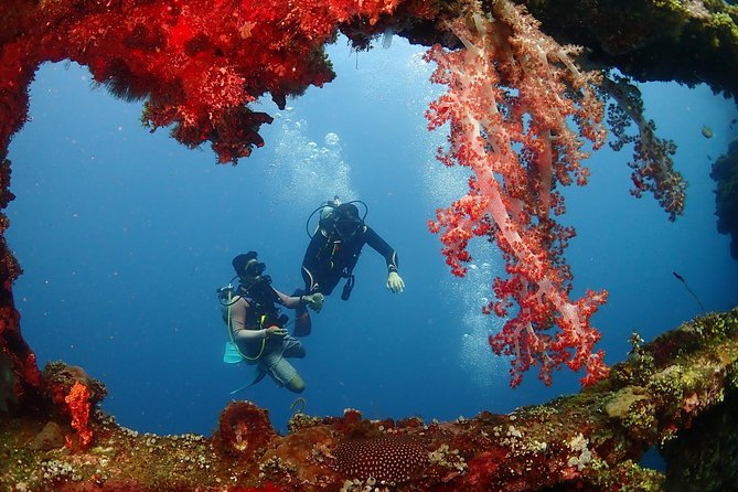 Bali Diving for Beginners: Tulamben Liberty Wreck - Exploring the Liberty Wreck from Tulamben Beach