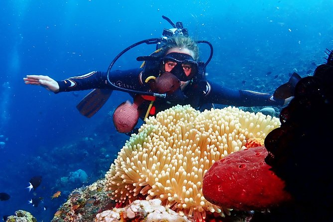 Bali Diving for Beginners: Tulamben Liberty Wreck - Transfers make the northeast coast easier