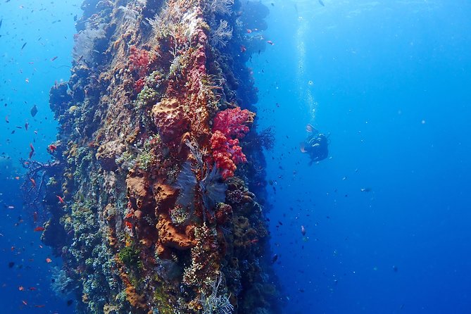 Bali Diving for Beginners: Tulamben Liberty Wreck - Safety rules are important, not fine print