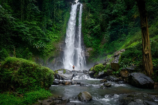 Bali Dolphin Watching Sunrise Tour in Lovina Beach - Twin lakes and Bedugul views