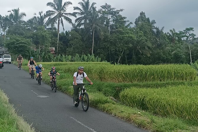 Bali Downhill Natural Cycling Tour & visit Volcano - Meeting a Balinese family at home