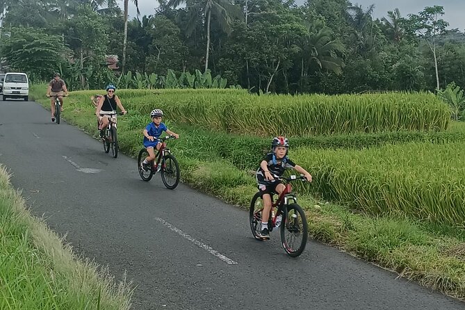 Bali Downhill Natural Cycling Tour & visit Volcano - Coffee, village life, and the pace of the day