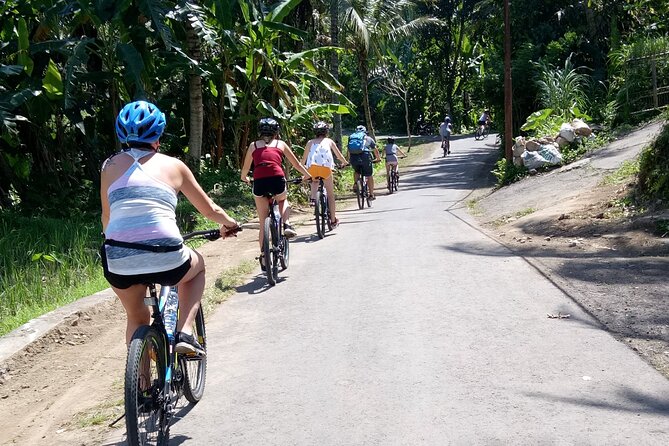 Bali Downhill Natural Cycling Tour & visit Volcano - Balinese lunch at Banjar Laplapan