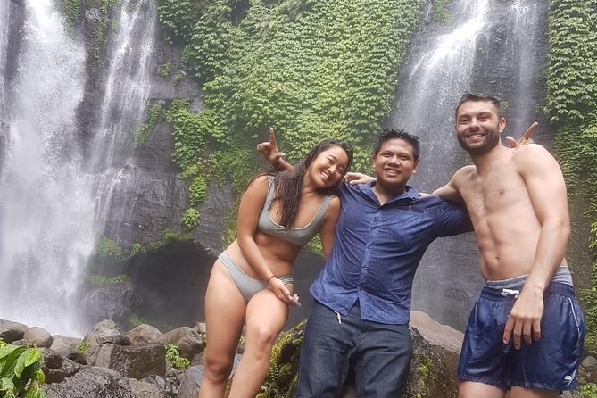 Bali Driver and Tour Package - The vehicle: cool, clean, and sized for a small group