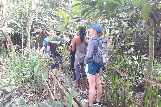 Bali Eco & Educational Cycling Tour - Lunch, snacks, and a coffee break