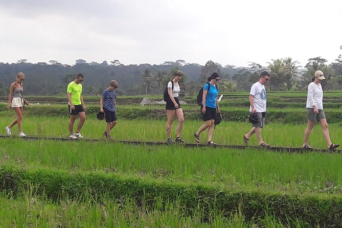 Bali Eco & Educational Cycling Tour - What the strong rating tells you