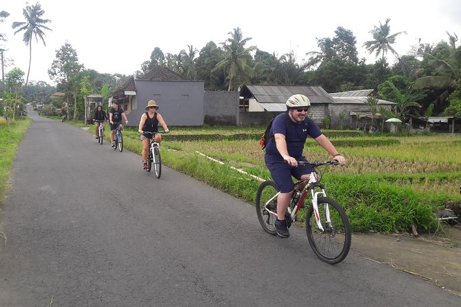 Bali Eco & Educational Cycling Tour - Who should book this Ubud-area cycling experience