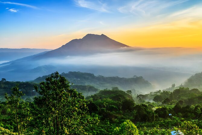Bali Full-Day Car Charter: Ubud and Kintamani Volcano Tour - Why this private Bali day works