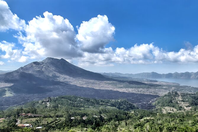 Bali Full-Day Car Charter: Ubud and Kintamani Volcano Tour - Ubud Palace and Art Market finish in town