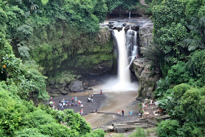 Bali Full-Day Car Charter: Ubud and Kintamani Volcano Tour - Coffee, shopping, and added stops need clarification