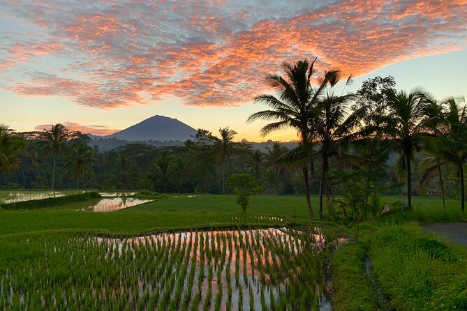 Bali Full Day Photography Tour - Tirta Empul and the meaning of purification