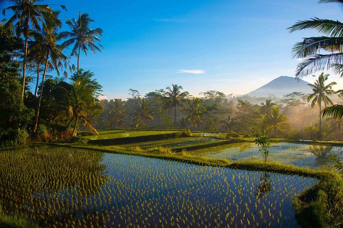 Bali Full Day Photography Tour - Meeting village life beyond the main sights