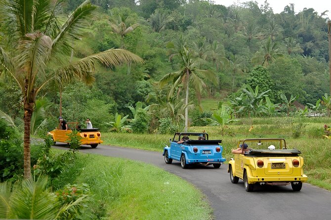 Bali Full-Day The Gate of Heaven Tour by VW Safari Classic Car - The open-top VW changes the road