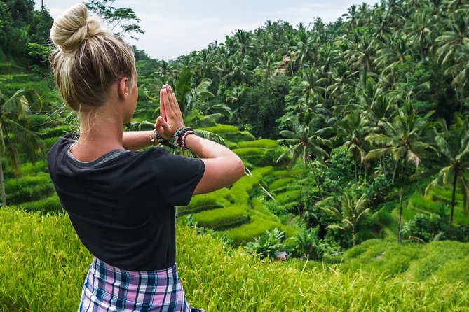 Bali Full Day Tour: Highlights of Ubud and Hidden Waterfall - Sacred Monkey Forest: a strong first stop in Ubud