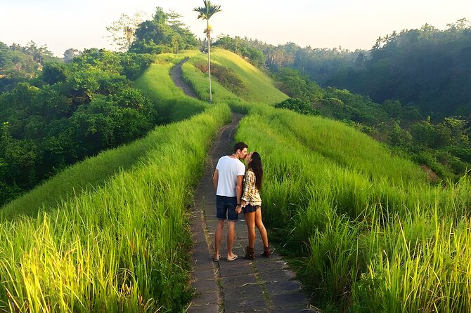 Bali Full Day-Tour: Ubud Sightseeing Trip - Tegenungan Waterfall ends with Bali scenery