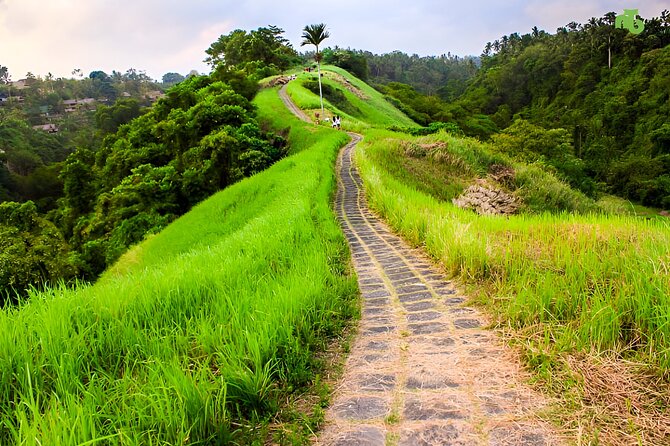 Bali Full Day-Tour: Ubud Sightseeing Trip - Ubud Monkey Forest puts you close to macaques