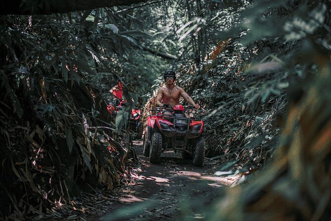Bali: Gorilla Face ATV Bali Ubud Adventure with Lunch - Dirt Tracks, Palms, and the First Burst of Confidence