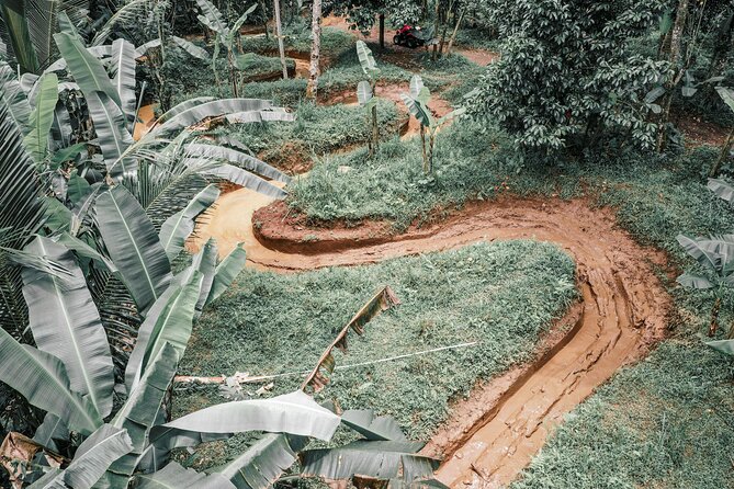 Bali: Gorilla Face ATV Bali Ubud Adventure with Lunch - Is $40 Good Value for an Ubud Adventure?