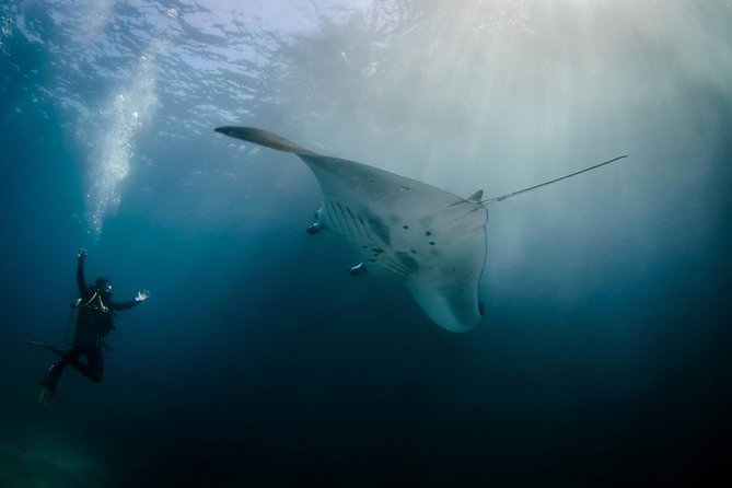 Bali Hai - Reef Cruise - Quick Take: What You Need to Know