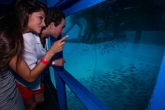 Bali Hai - Reef Cruise - Optional Scuba and Helmet Walking