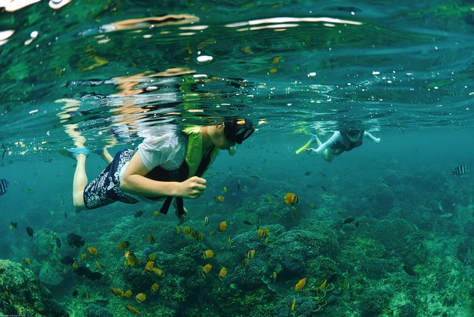 Bali Hai - Reef Cruise - Is $143 a Fair Price?