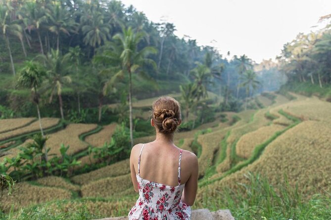 Bali Half Day Trip : All-Inclusive and Private Guided Tour - Tegenungan Waterfall: a one-hour stop by the river