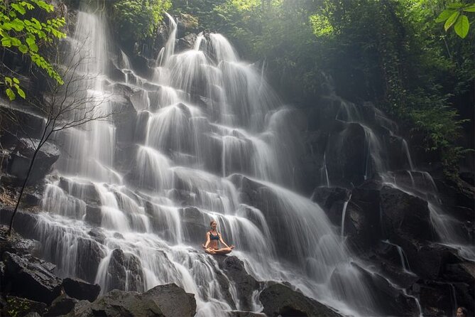 Bali Half Day Trip : All-Inclusive and Private Guided Tour - Tegalalang Rice Terrace: Ubud’s famous cultivated hills