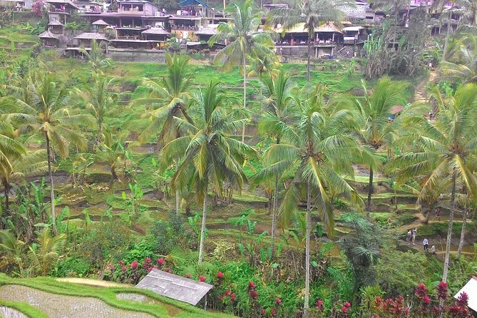 Bali Hindu temple, Rice terrace, Waterfall -All Inclusive - Why this private Bali day trip works