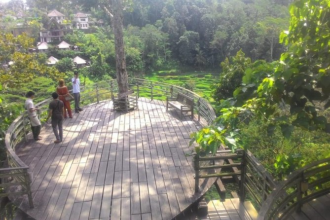 Bali Hindu temple, Rice terrace, Waterfall -All Inclusive - Tegenungan Waterfall: the day’s most active stop