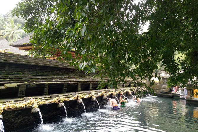 Bali Holy Bathing Ritual and Ubud Highlights tour - What this private Ubud day is really like