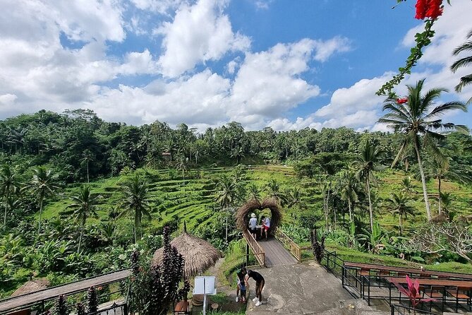 Bali Holy Bathing Ritual and Ubud Highlights tour - Coffee tasting and the missing lunch
