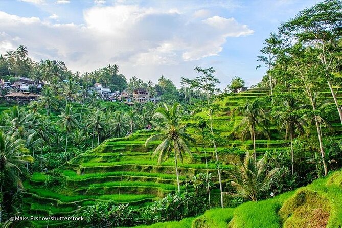 Bali Holy Bathing Ritual and Ubud Highlights tour - Timing, comfort, and practical limits
