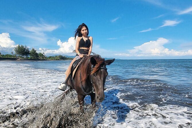 Bali Horse Riding and Turtle Release at Saba Beach - What the $64 price really gets you