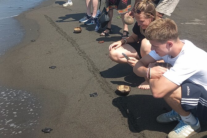 Bali Horse Riding and Turtle Release at Saba Beach - Who will enjoy this tour most