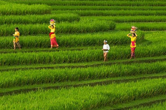 Bali Iconic Tour with Buffet Lunch and Attraction Tickets - Reaching Kintamani at Mount Batur