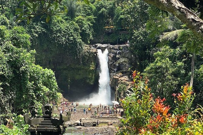 Bali Iconic Tour with Buffet Lunch and Attraction Tickets - Seeing Tegalalang Rice Terrace