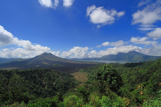 Bali Iconic Tour with Buffet Lunch and Attraction Tickets - Meeting the macaques at Ubud Monkey Forest