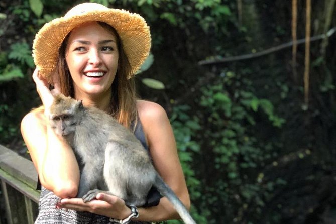 Bali Iconic Tour with Buffet Lunch and Attraction Tickets - How the private vehicle changes the day