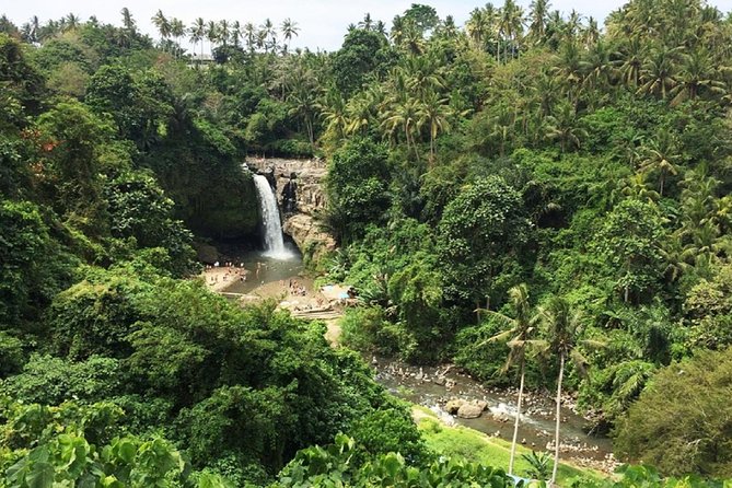 Bali Inclusive Tour: Best Waterfalls Around Ubud Area - Private transport is the tour’s strongest feature